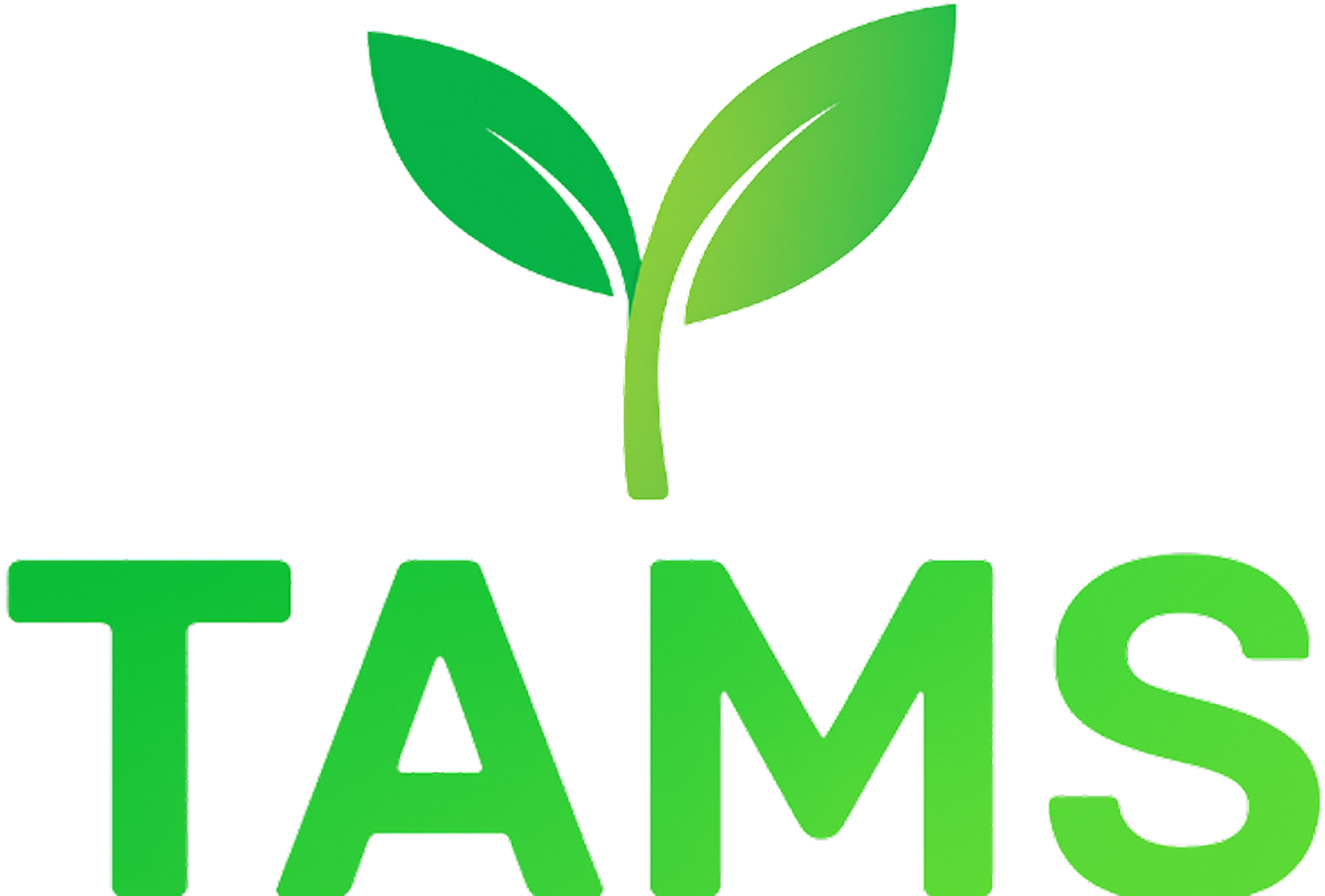 Logo TAMS